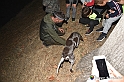 VBS_6420 - Inaugurazione Stagione 2022-23 Simulazione Ricerca Tartufo